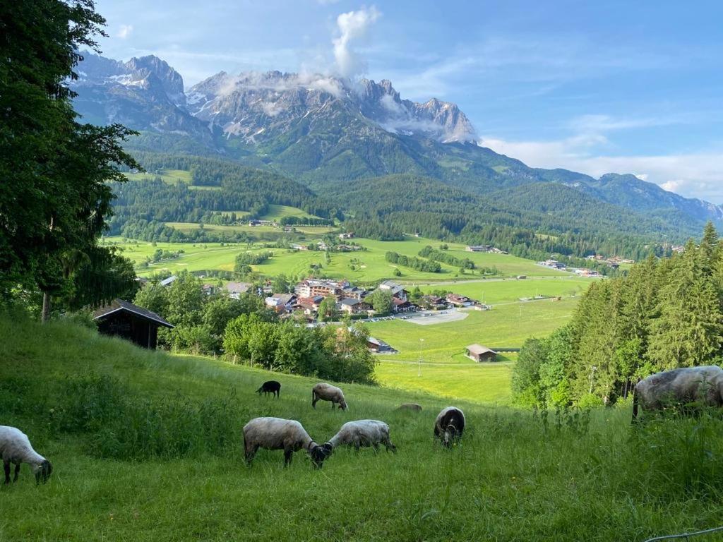 Alpen Studio Ellmau II ภายนอก รูปภาพ